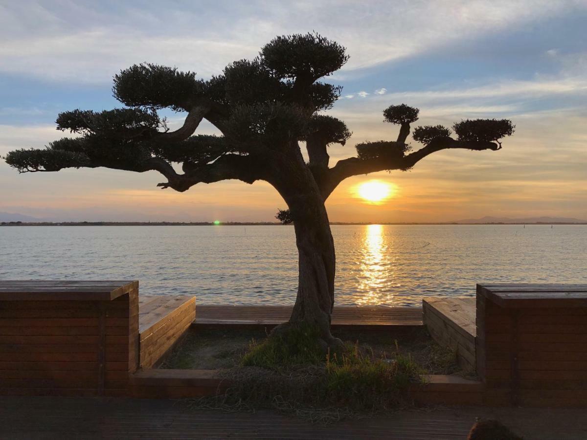 Barcaresa-Ravissant Appartement Piscine Vue Mer Wifi Parking Gratuit Le Barcares Exterior photo